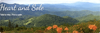 Heart and Sole